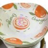 Orange Print Plate19.5cm